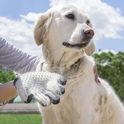 Bürsthandschuh für Haustiere Relpet IG
